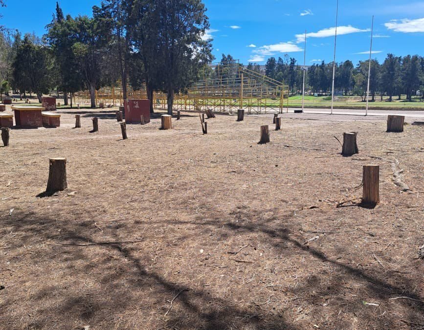 REPRESALIA GALLARDISTA CONTRA TRABAJADORES DEL TANGAMANGA QUE DENUNCIARON TALA DE ARBOLES