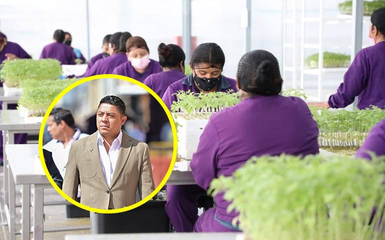 GALLARDO TRUENA INVERNADEROS SANTA RITA