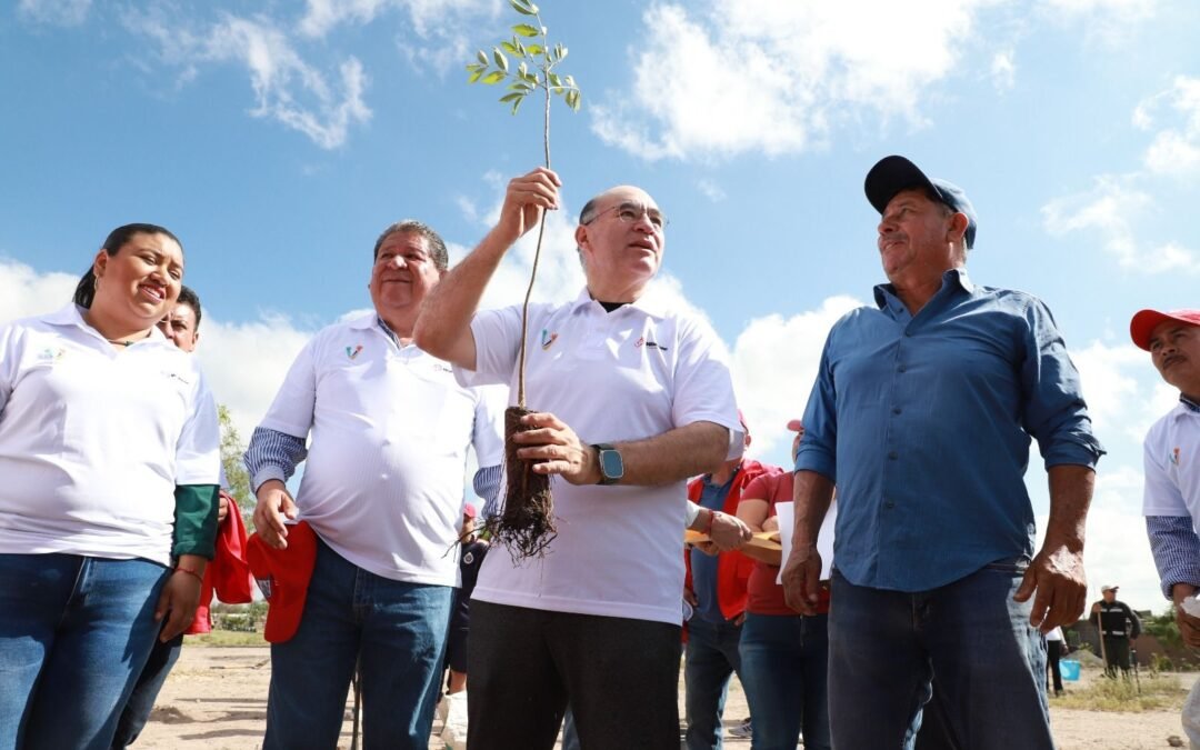 Con la reforestación del programa “Pulmones Urbanos”, el Gobierno de la Capital deja un mejor SLP y protege el ambiente