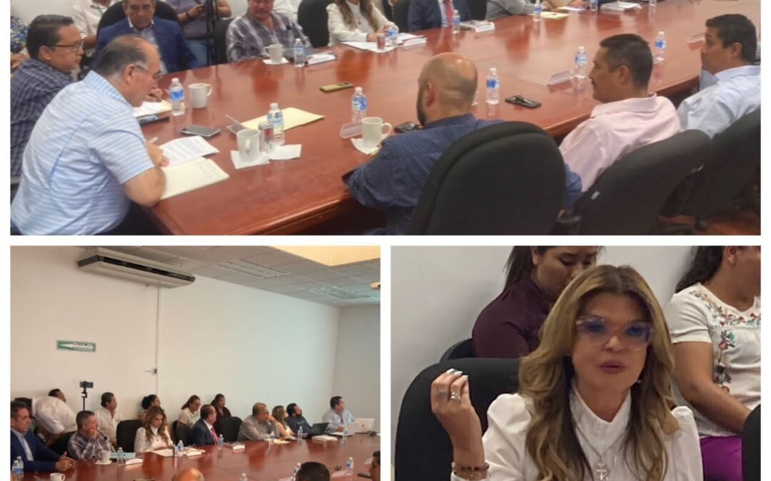 Total respaldo de la Comisión de Agua del Cabildo a las acciones y resultados del Plan Emergente del Gobierno de la Capital