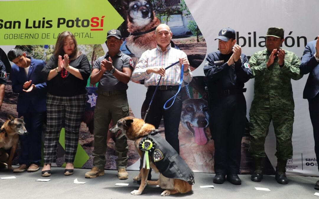 Gobierno de la Capital jubila a cuatro elementos caninos de la Secretaría de Seguridad y Protección Ciudadana Municipal