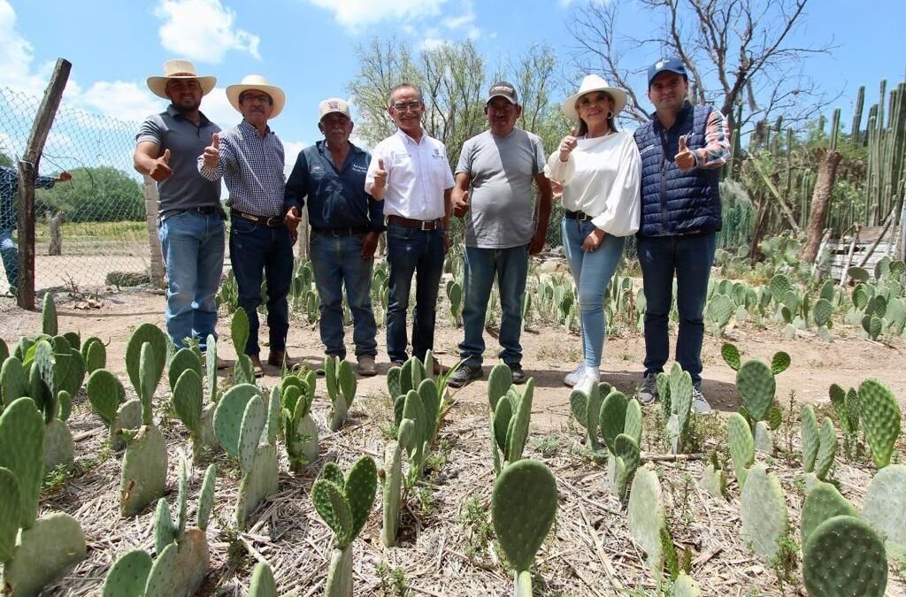 Familias de la Delegación de Bocas, beneficiadas con proyectos agrícolas y aulas didácticas del Gobierno de la Capital