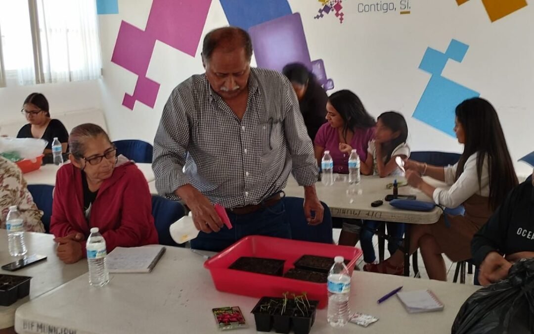DIF Municipal enseña a tener cultivos todo el año en casa