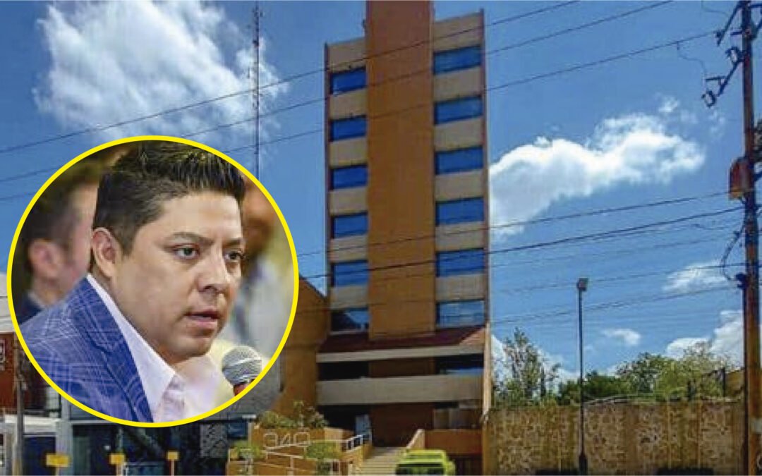 DAN GATO POR LIBRE A GALLARDO