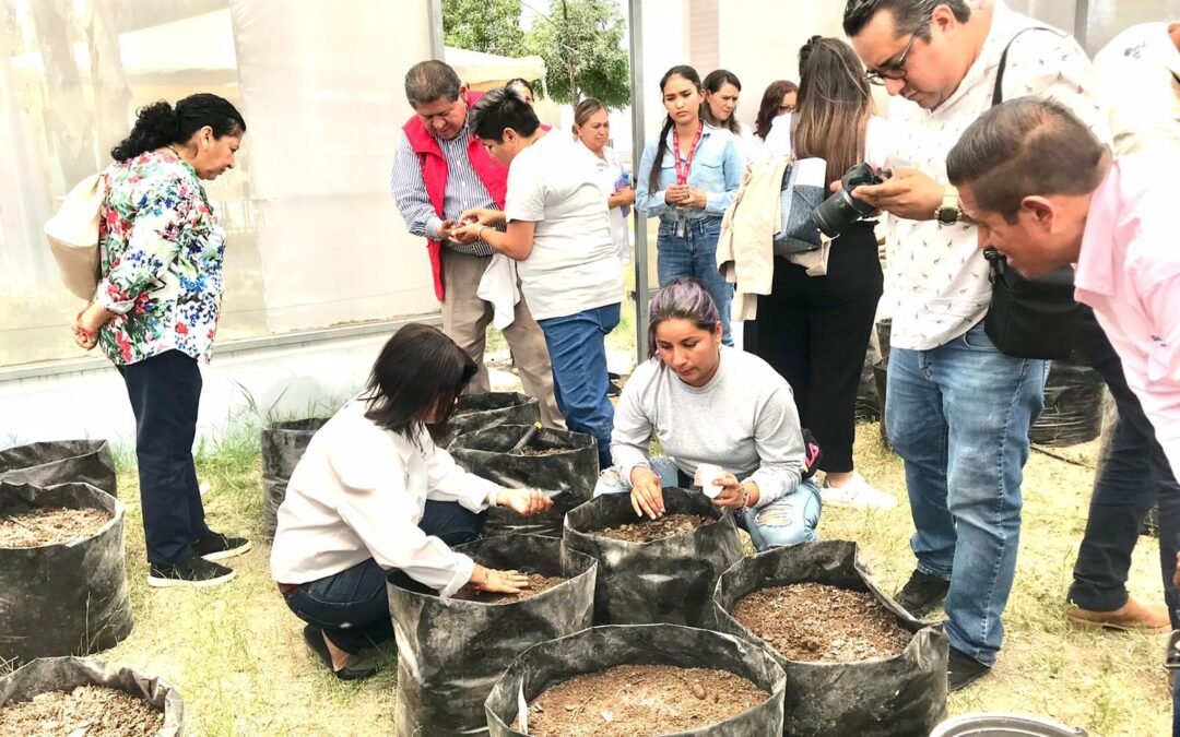 DIF Municipal instala huerto “Cosechando para tu mesa”, en Villa de Pozos