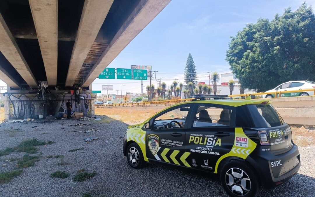 SSPC de la Capital emprende acciones para el cuidado del entorno urbano
