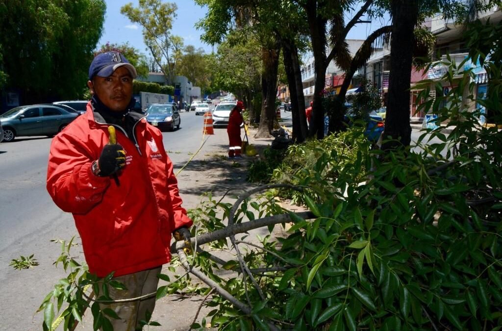 En una semana, embellecimiento de parques y jardines del Gobierno de la Capital benefició a más de 35 mil potosinos