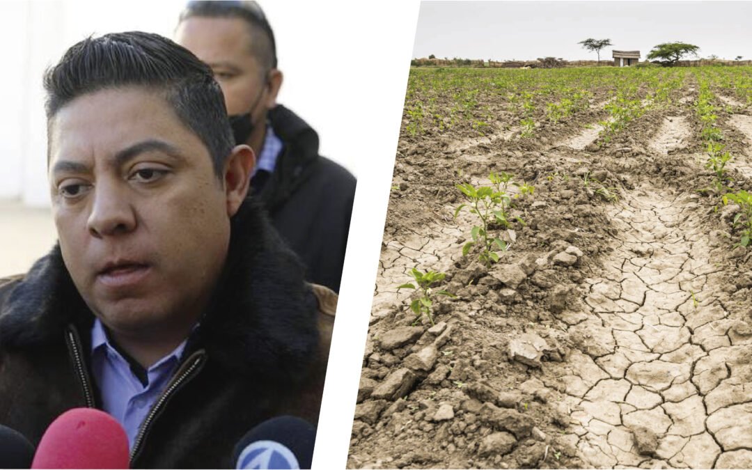 EL POLLO, AMACHADO EN NO PEDIR DECLARATORIA DE DESASTRE AGRÍCOLA