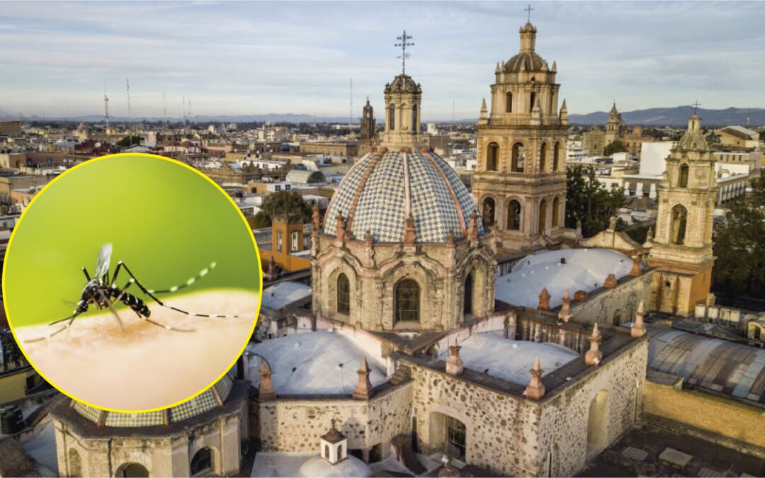 SE PROPAGA DENGUE EN SAN LUIS POTOSÍ