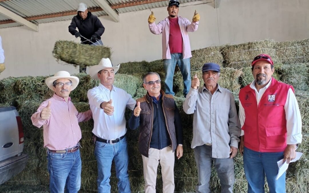 Gobierno de la Capital entrega estímulos a productores agrícolas de 33 comunidades rurales