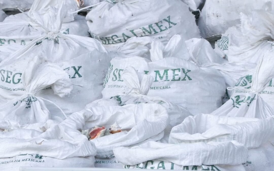 INCAUTAN METANFETAMINAS EN COSTALES DE SEGALMEX