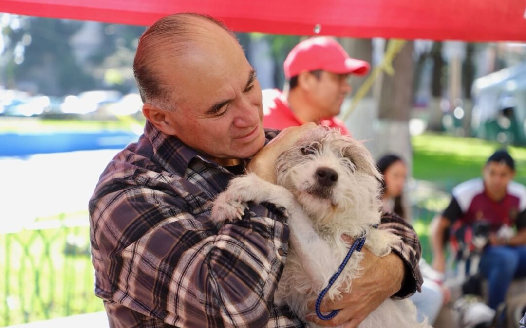 Gobierno de la Capital realiza Festival de Adopción Canina y Felina en la Alameda Juan Sarabia