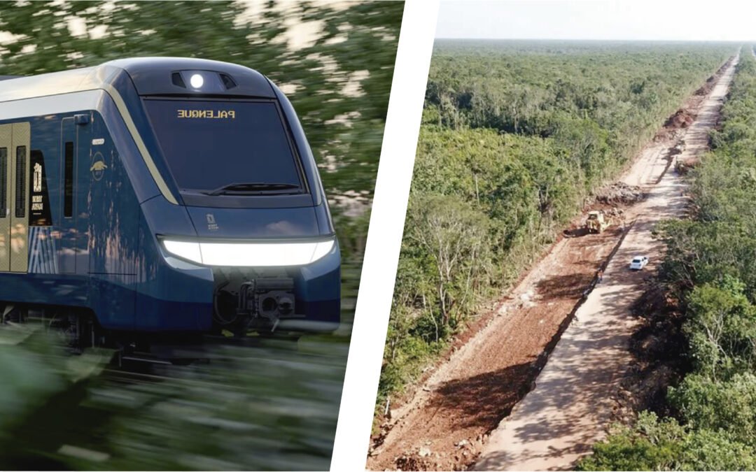 CON TREN MAYA, DESTRUCCIÓN INFAME DE SELVA