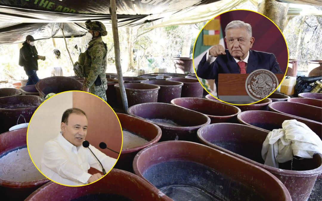 GIGANTESCO DESCUBRIMIENTO, TAMAÑO DE IMPUNIDAD