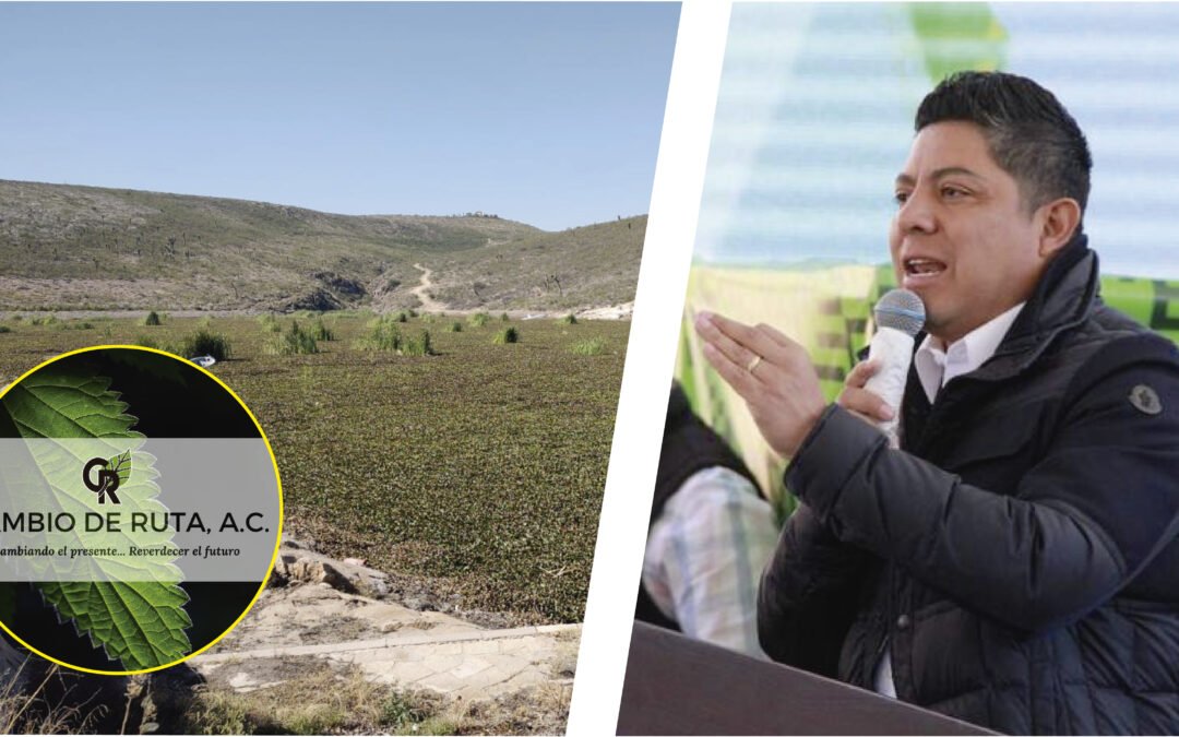 GROSERÍAS DE GALLARDO NO INTIMIDAN