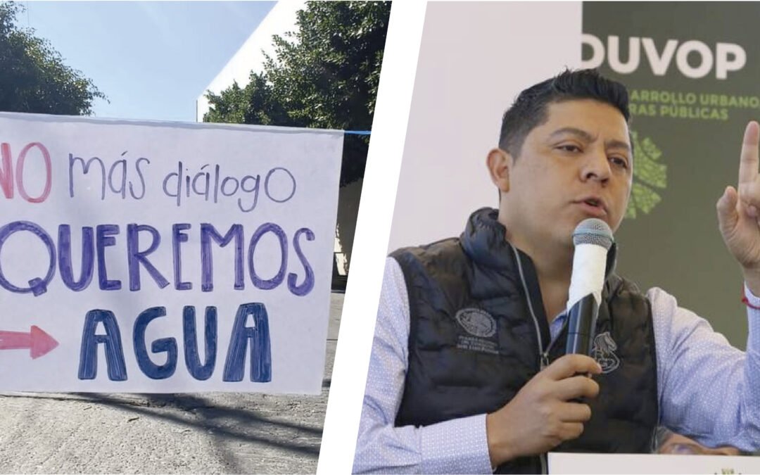 EL POLLO GALLARDO, SE HACE EL INOCENTE