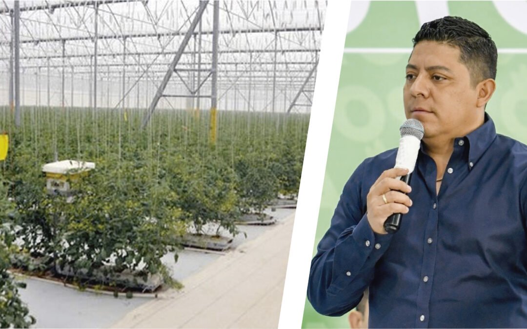 LO QUE SE ESPERABA CON GALLARDO, SANTA RITA SIN UTILIDADES