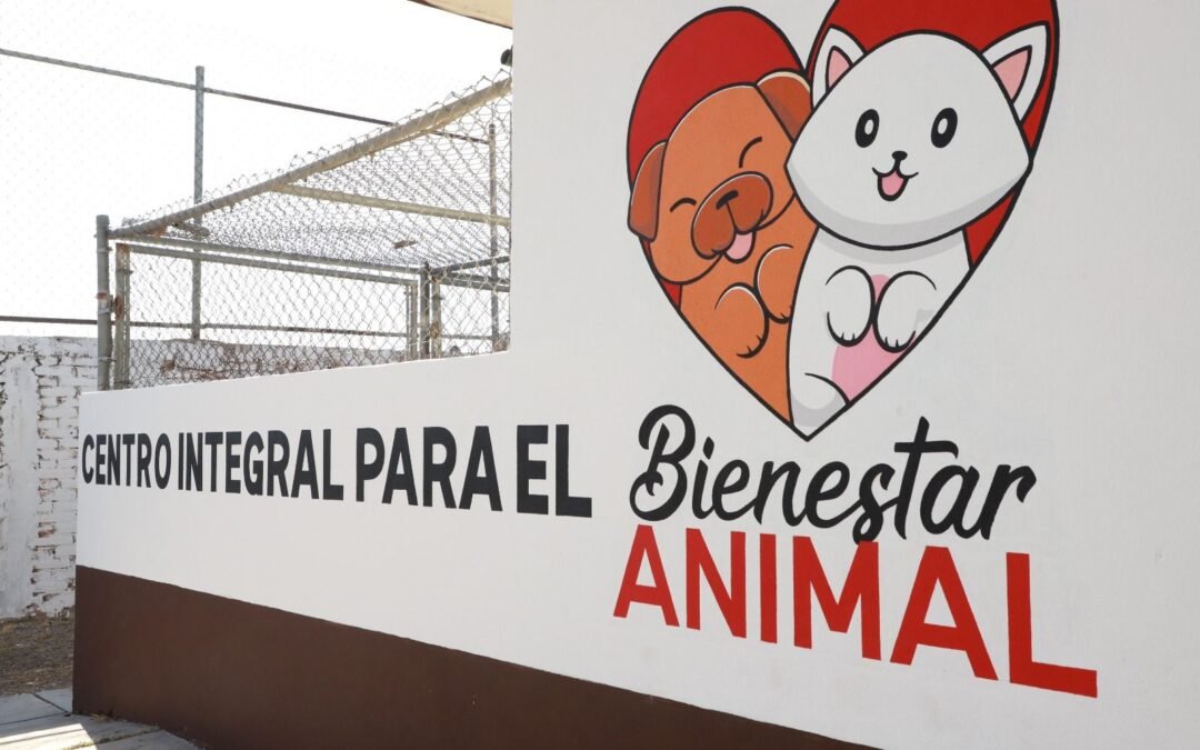 Continúa Ayuntamiento de SLP con programa para fomentar y garantizar bienestar animal en el municipio
