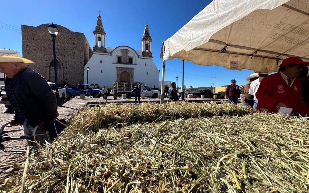 Para que las familias del campo puedan hacer frente a la sequía, Gobierno Municipal hace entrega del programa Pacas de Forraje