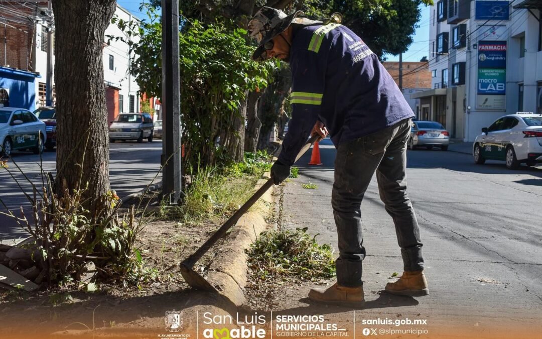 Gobierno de la Capital intensifica acciones de mantenimiento en San Luis Potosí