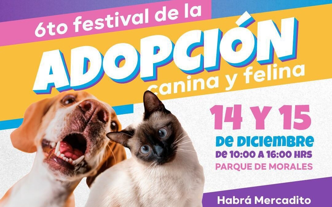 Este sábado y domingo, Gobierno de la Capital realizará el 6º Festival de Adopción Canina y Felina en Morales