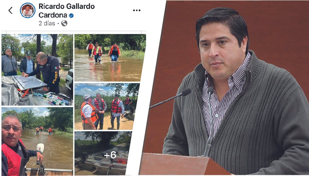 GALLARDO LE ANDA HACIENDO FUCHI AL TEKMOL