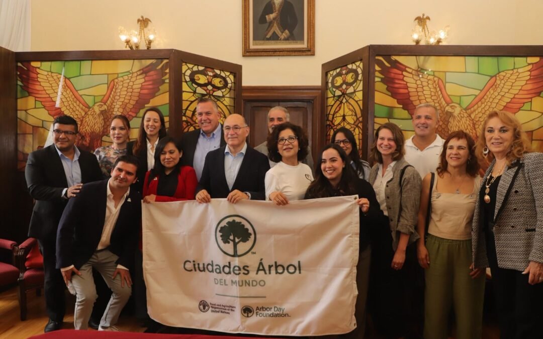 Cabildo aprueba Día Municipal del Árbol y Consejo para proteger arbolado urbano