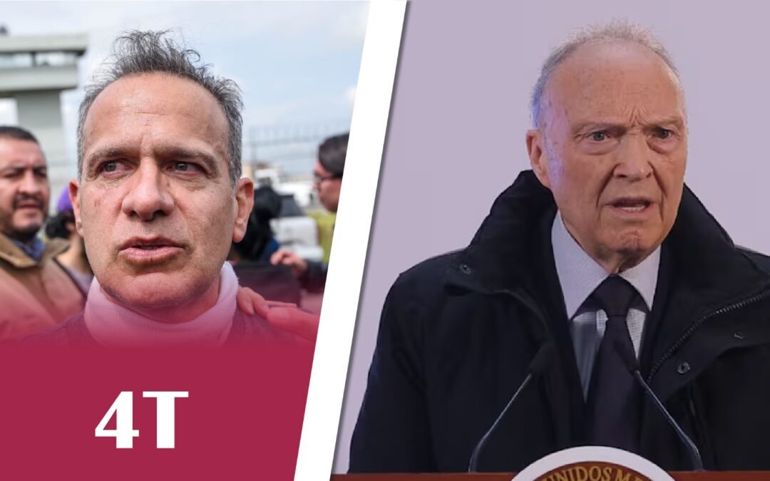 UNA ENREDADERA, MOVIMIENTO DE CUARTA TRANSFORMACIÓN