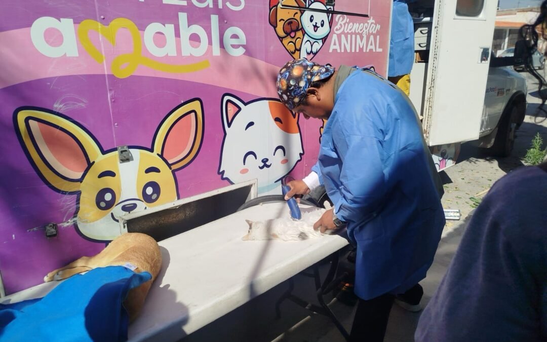 Amplían cobertura jornadas itinerantes municipales a favor de los animales en San Luis Capital