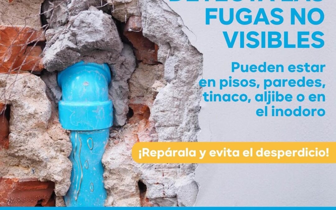 Fugas internas, entre las principales causas de incrementos en el recibo de agua