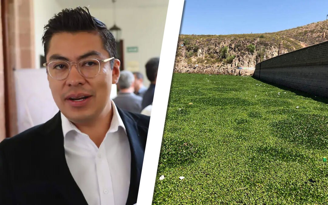 CUAUHTLI FUE PURO PICO DE PERICO: GESTIÓN POR EL LIRIO ACUÁTICO EN LA PRESA DE SAN JOSÉ NO SE CONCRETA